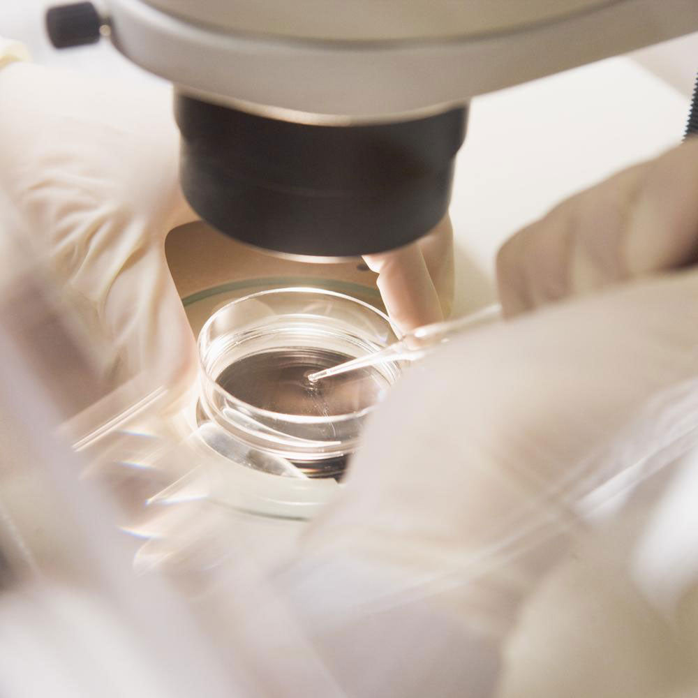 Abiorevitalization Ano Cosmetic Surgery Of The Face: Synergies Of Action