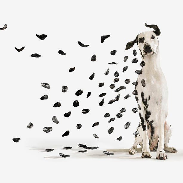 See Spot Go: It’s Time to FINALLY Get Rid of That Hyperpigmentation You Hate