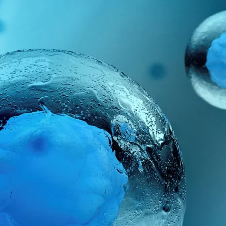 What is EGF and is All the Hype Justified?