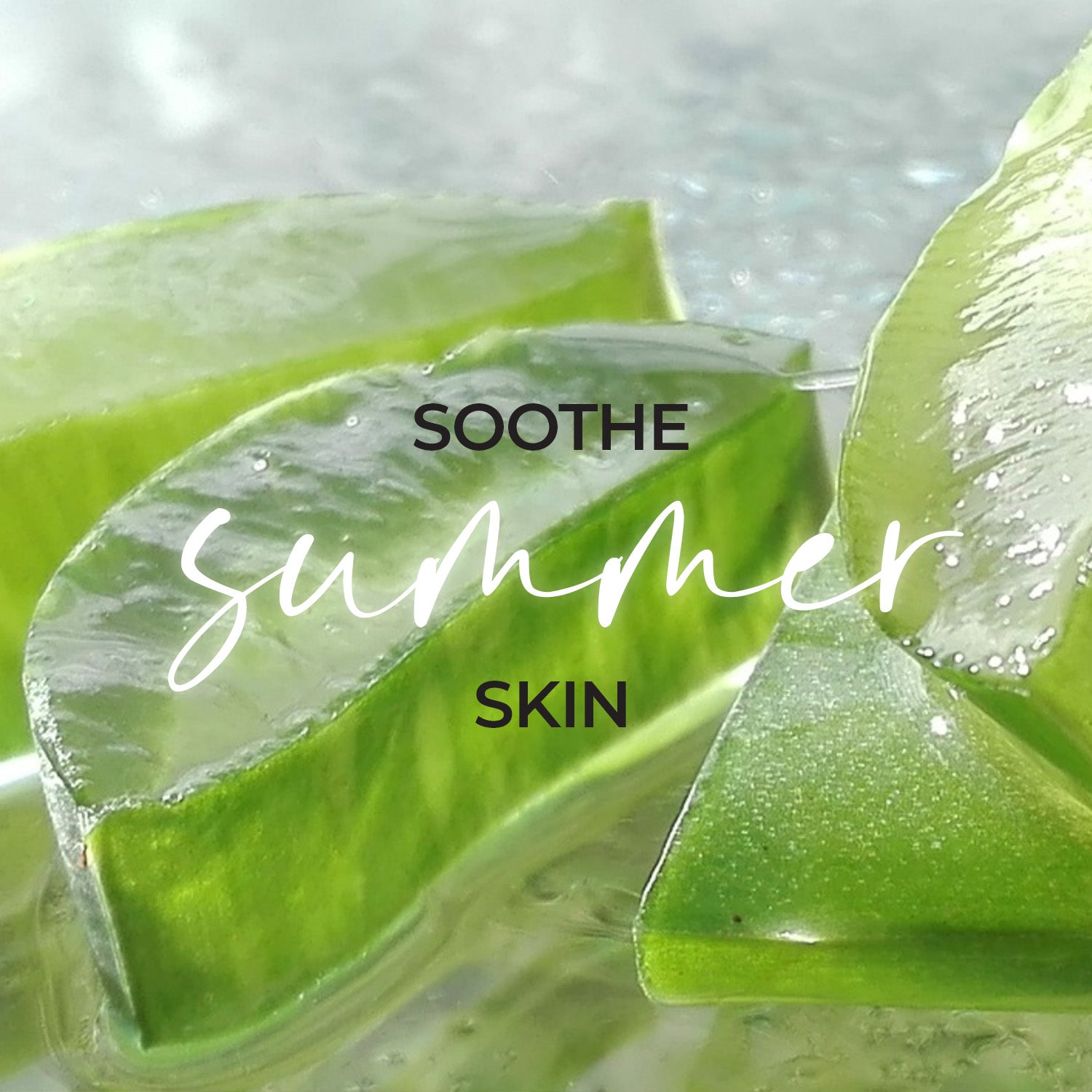Summer Beauty Benefits of Aloe Vera