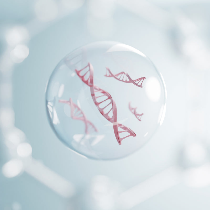 How c-PDRN® Enhances the Benefits of Other Active Ingredients