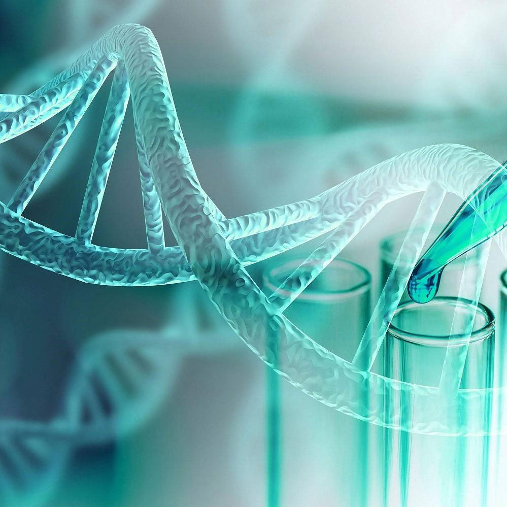 Rejuran® Healer Turnover Ampoule Clinical Testing